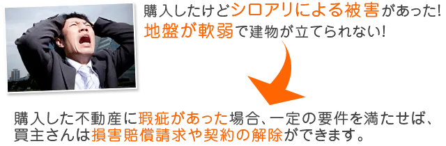 購入したけどシロアリによる被害があった!地盤が軟弱で建物が立てられない!
